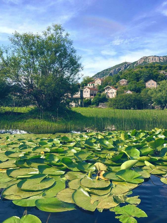 Lake View Apartment Dodosi Buitenkant foto